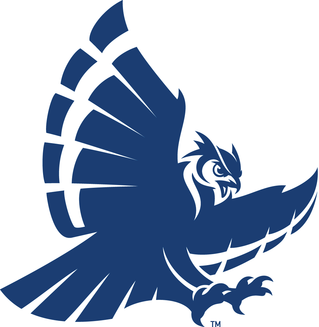 Rice Owls 1997-2009 Secondary Logo 01 iron on paper